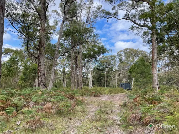 Main view of Homely rural property listing, 670 Great Alpine Road, Lucknow VIC 3875