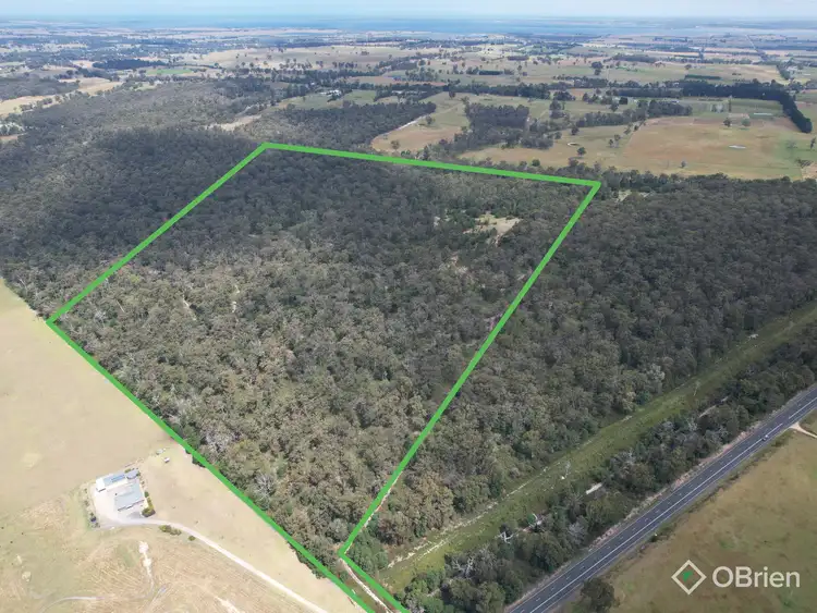 Second view of Homely rural property listing, 670 Great Alpine Road, Lucknow VIC 3875