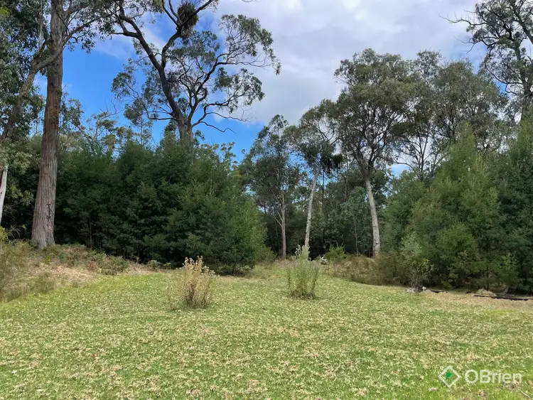 Fifth view of Homely rural property listing, 670 Great Alpine Road, Lucknow VIC 3875