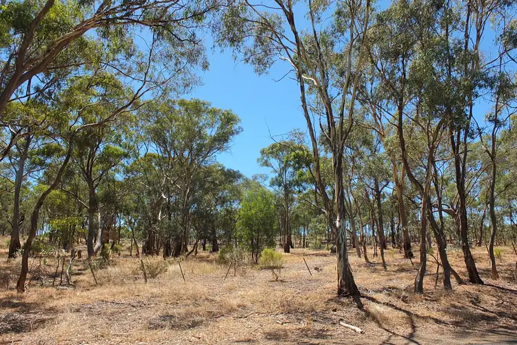 Main view of Homely rural property listing, 2760 Avoca-Bealiba Road, Archdale VIC 3475