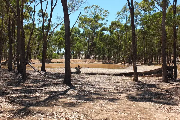 Third view of Homely rural property listing, 2760 Avoca-Bealiba Road, Archdale VIC 3475