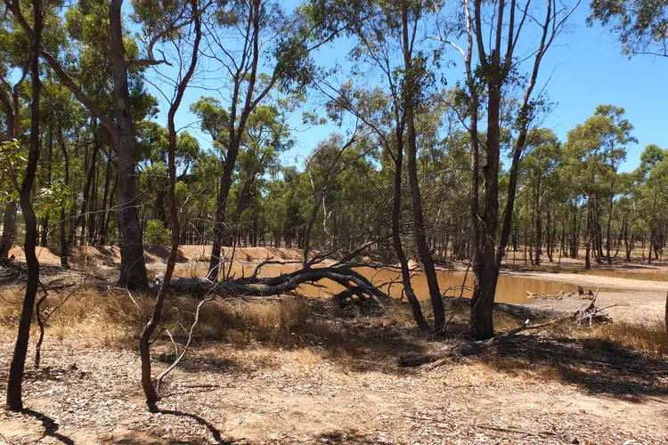 Sixth view of Homely rural property listing, 2760 Avoca-Bealiba Road, Archdale VIC 3475