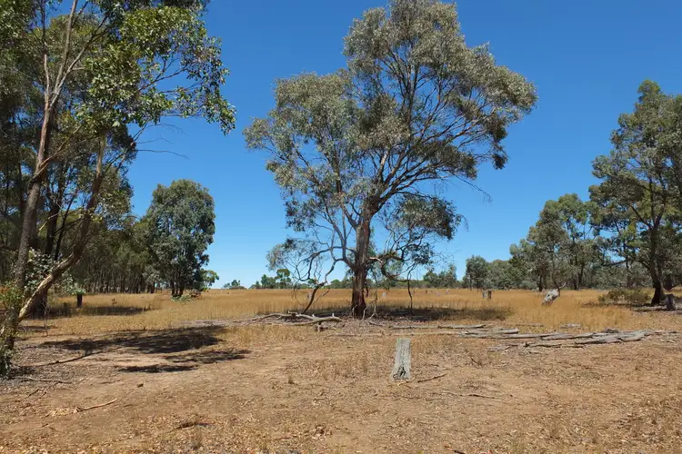 Seventh view of Homely rural property listing, 2760 Avoca-Bealiba Road, Archdale VIC 3475