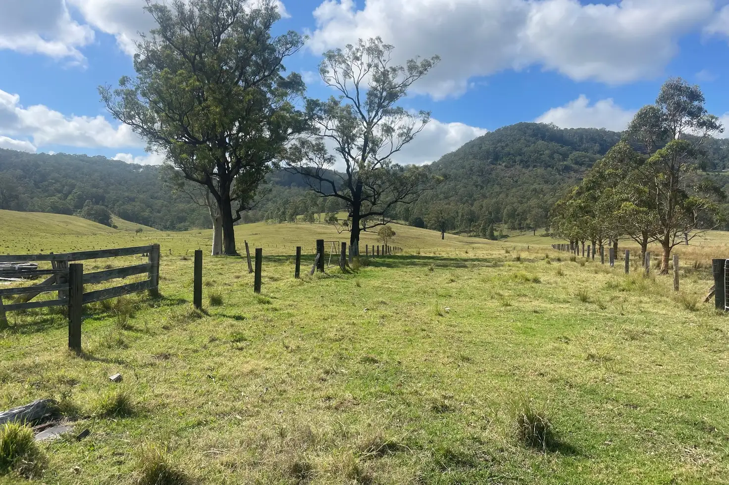 Main view of Homely rural property listing, 894 Dungog Road, Dungog NSW 2420