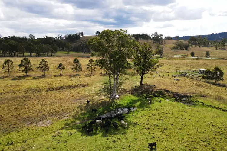 Second view of Homely rural property listing, 894 Dungog Road, Dungog NSW 2420