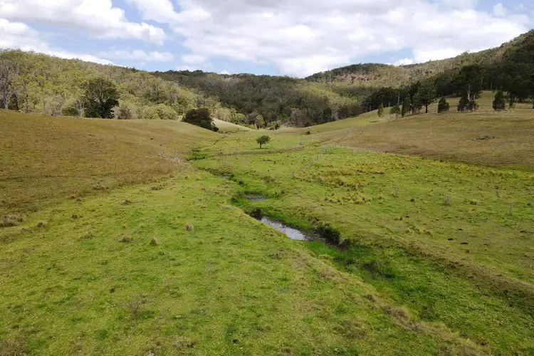 Third view of Homely rural property listing, 894 Dungog Road, Dungog NSW 2420