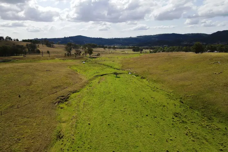 Fourth view of Homely rural property listing, 894 Dungog Road, Dungog NSW 2420