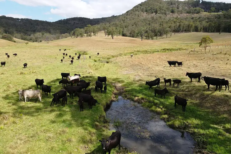 Fifth view of Homely rural property listing, 894 Dungog Road, Dungog NSW 2420