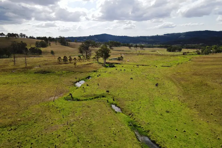 Seventh view of Homely rural property listing, 894 Dungog Road, Dungog NSW 2420