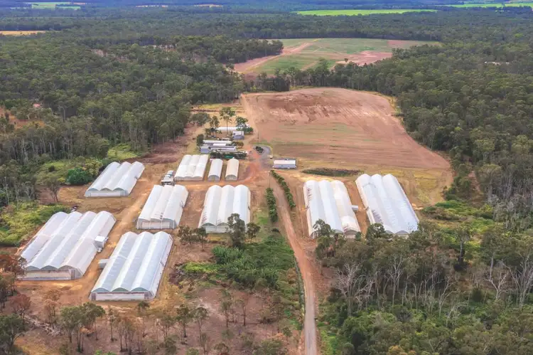 Second view of Homely rural property listing, 2034 Rosedale Road, Bundaberg Central QLD 4670
