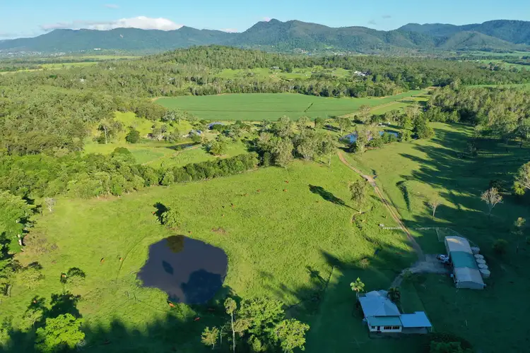Third view of Homely house listing, 227 Sugarloaf Road, Sugarloaf QLD 4800