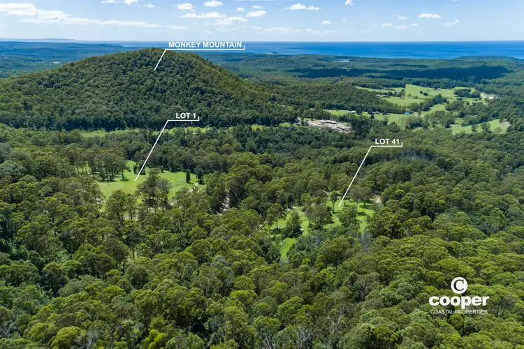 Lot 1 Monkey Mountain Road, Termeil NSW 2539