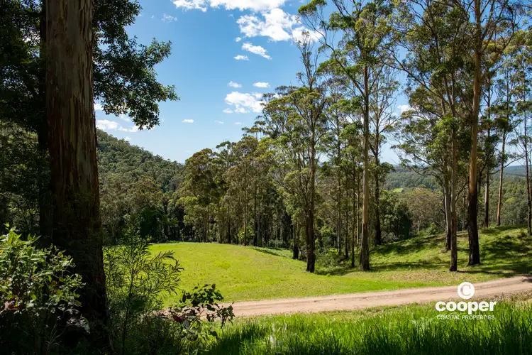 Sixth view of Homely rural property listing, Lot 1 Monkey Mountain Road, Termeil NSW 2539