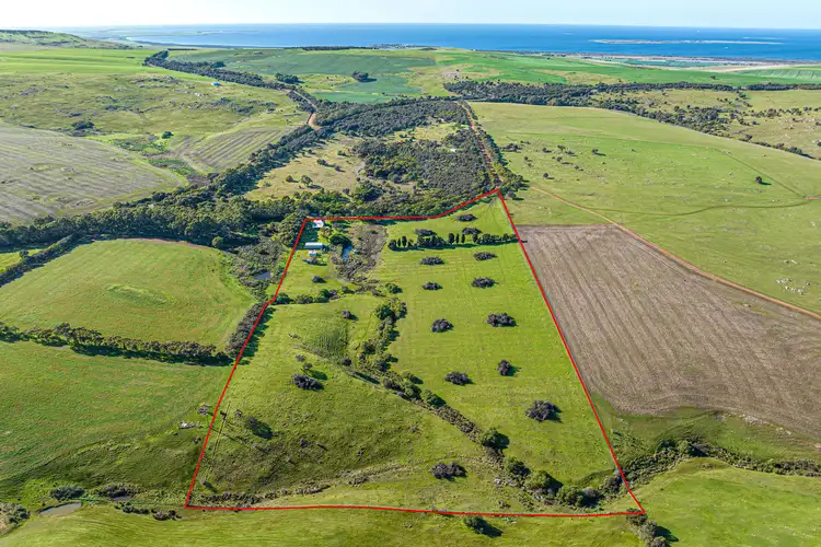 Main view of Homely rural property listing, 77 Cooper Lane, Whites Flat SA 5607