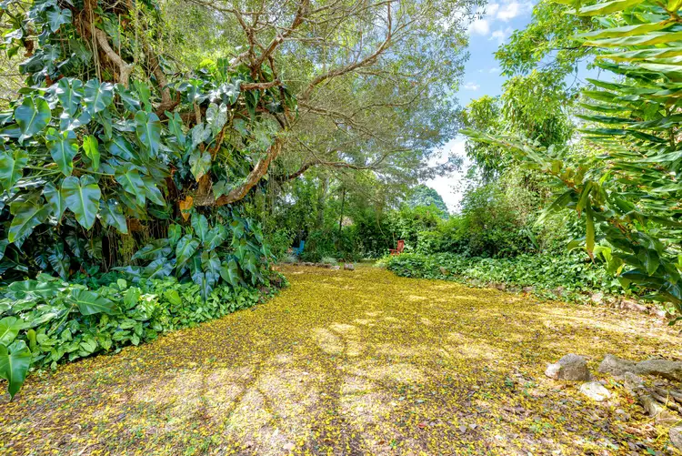 12 Lynch Street, Malanda QLD 4885
