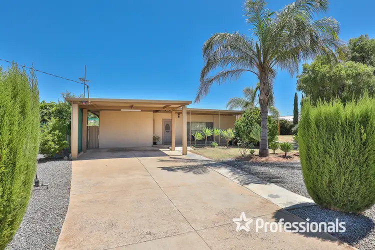 Main view of Homely house listing, 19 Elizabeth Avenue, Mildura VIC 3500