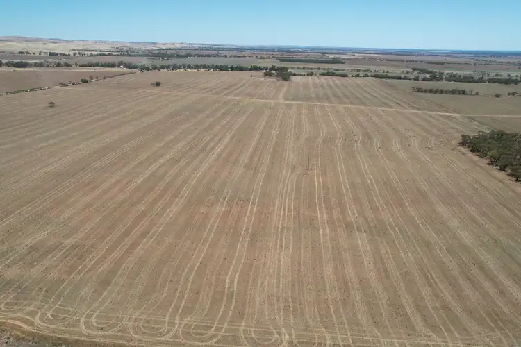 Fourth view of Homely rural property listing, A2 & S36 Gerschwitz & Bank Road, Sedan SA 5353