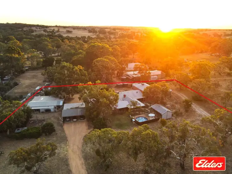 Main view of Homely house listing, 290 Williamstown Road, Cockatoo Valley SA 5351