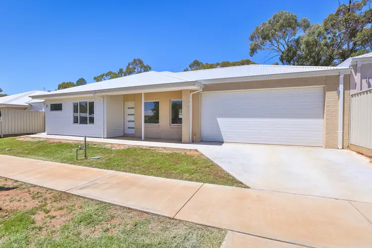 65 Ronald Street, Robinvale VIC 3549