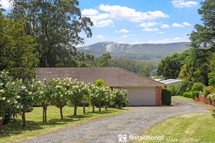 Main view of Homely house listing, 1376 Myers Creek Road, Toolangi VIC 3777
