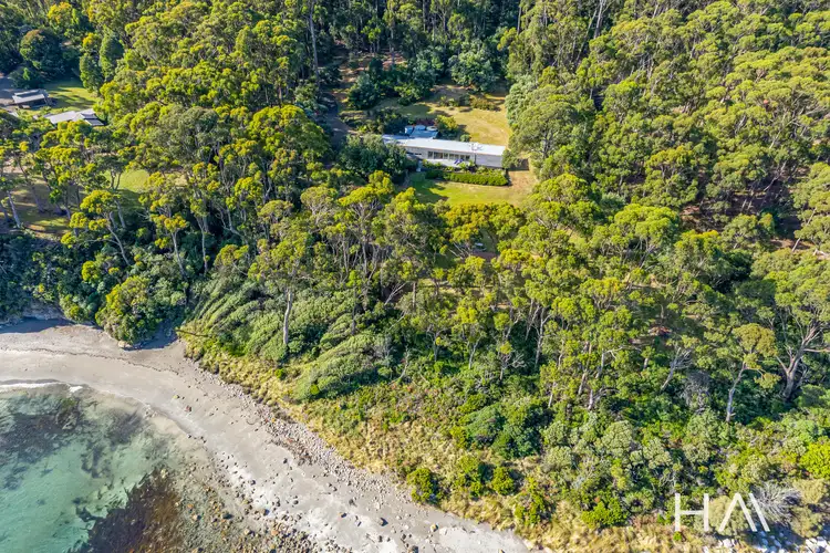 Fifth view of Homely house listing, 19 Osprey Road, Eaglehawk Neck TAS 7179
