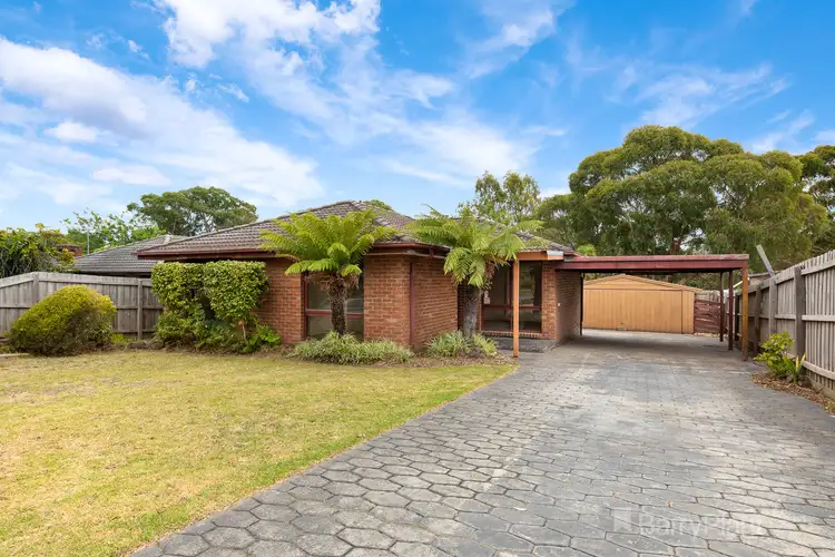 Main view of Homely house listing, 29 Shetland Street, Endeavour Hills VIC 3802