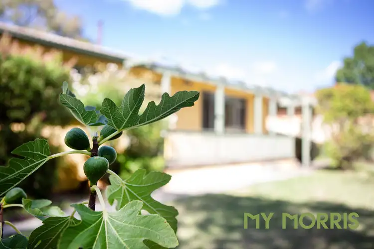 Main view of Homely house listing, 11 Eton Place, Kambah ACT 2902