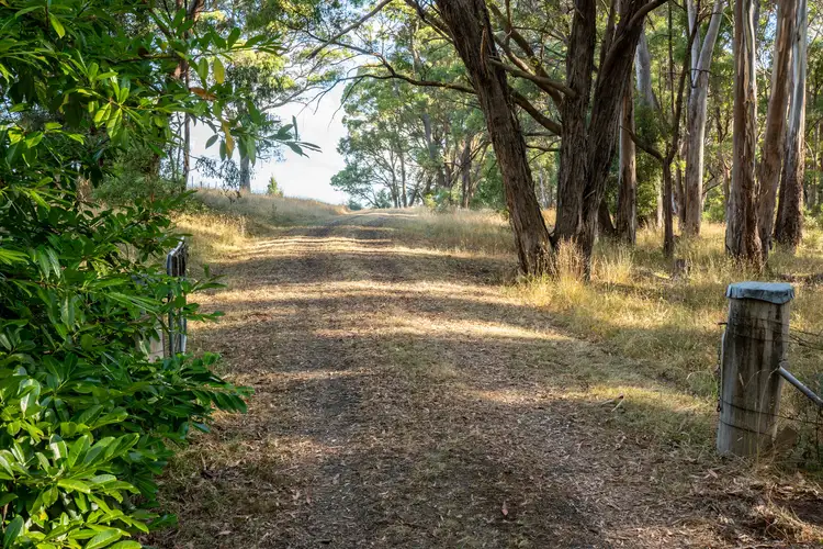 Second view of Homely rural property listing, 1024 Tames Road, Strathbogie VIC 3666