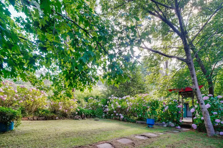 Main view of Homely house listing, 5 Freelander Avenue, Katoomba NSW 2780
