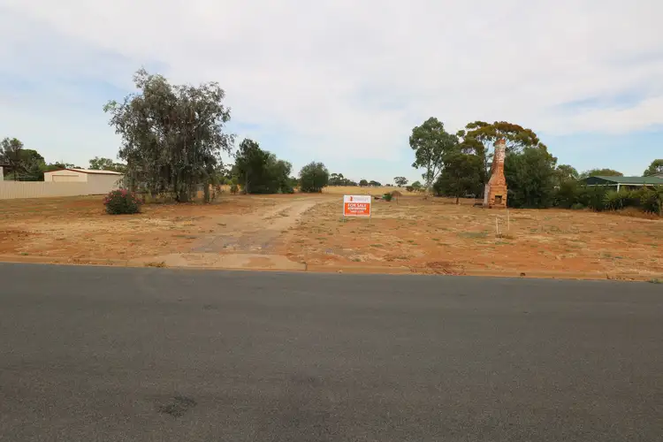 Third view of Homely rural property listing, 107-109 Dempsey Street, Wycheproof VIC 3527