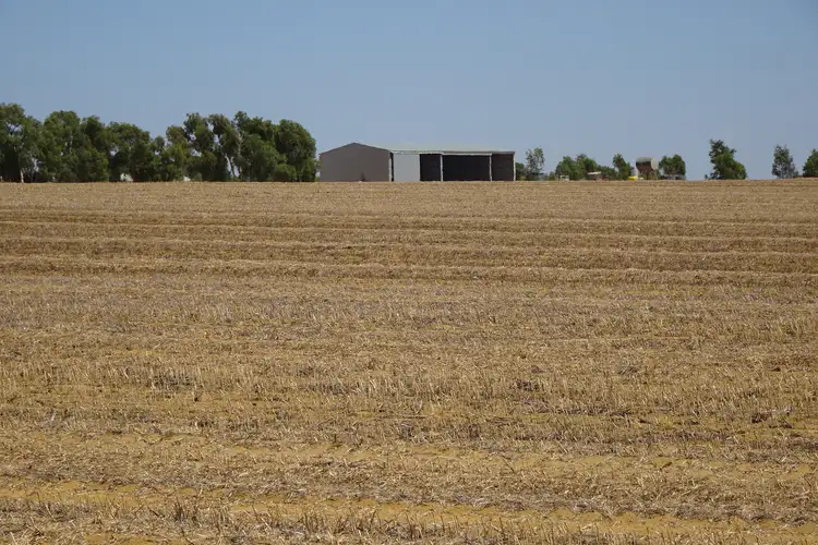 Fifth view of Homely rural property listing, 788 Valentine Road, North Eradu WA 6532