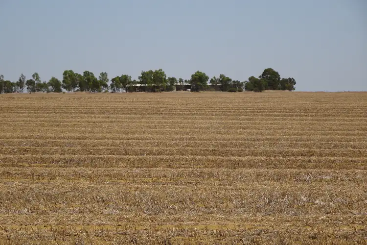 Sixth view of Homely rural property listing, 788 Valentine Road, North Eradu WA 6532