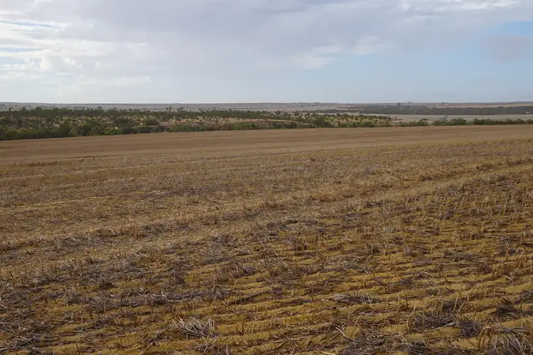 Seventh view of Homely rural property listing, 788 Valentine Road, North Eradu WA 6532