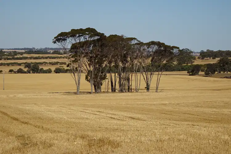 Koobadong Road, Piesseville WA 6315