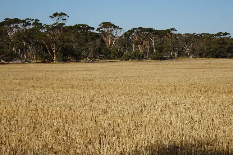 Third view of Homely rural property listing, Koobadong Road, Piesseville WA 6315