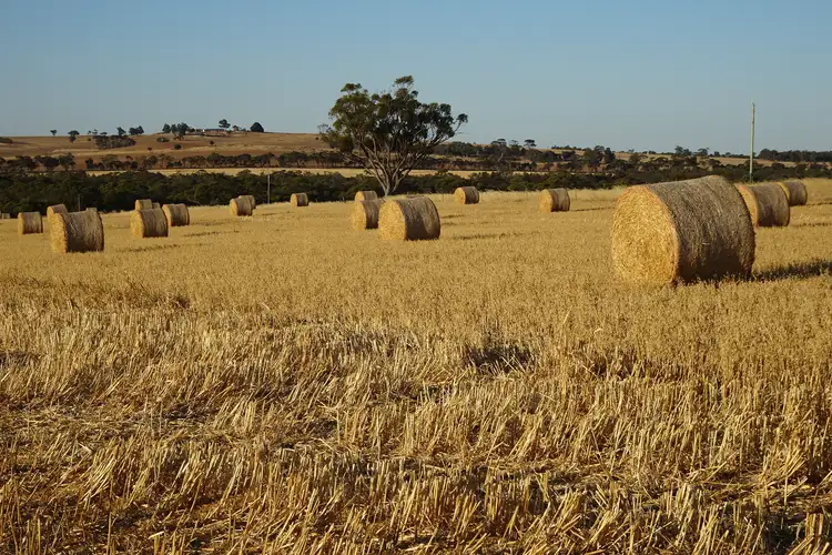 Fourth view of Homely rural property listing, Koobadong Road, Piesseville WA 6315