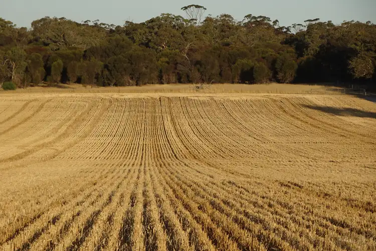 Fifth view of Homely rural property listing, Koobadong Road, Piesseville WA 6315