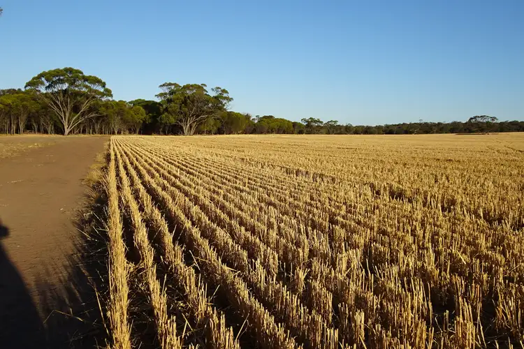 Sixth view of Homely rural property listing, Koobadong Road, Piesseville WA 6315