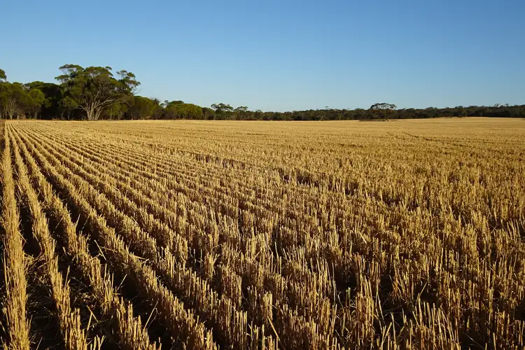Seventh view of Homely rural property listing, Koobadong Road, Piesseville WA 6315