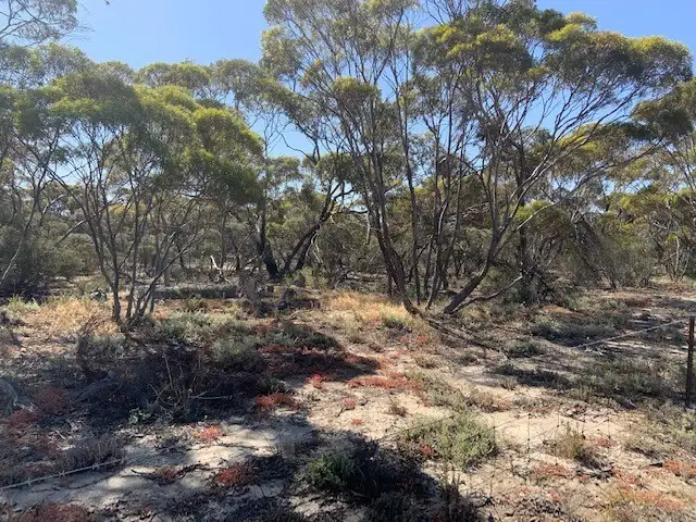 Main view of Homely land listing, 72 Piesse Street, Yelbeni WA 6487