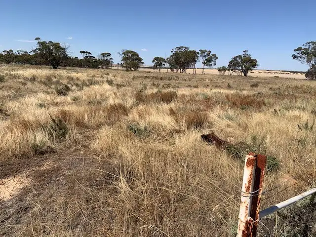 Fourth view of Homely land listing, 72 Piesse Street, Yelbeni WA 6487