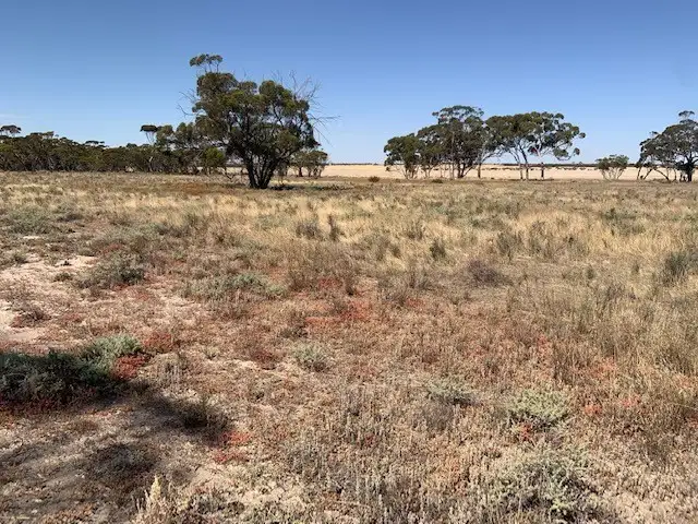 Sixth view of Homely land listing, 72 Piesse Street, Yelbeni WA 6487
