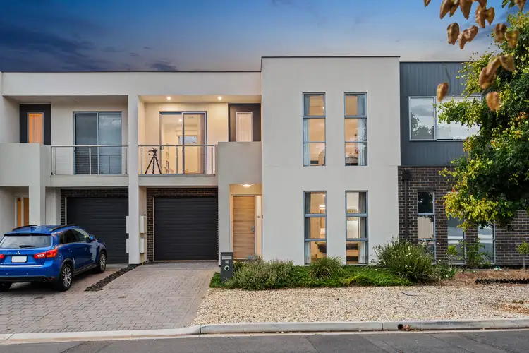 81 Alexander Avenue, Campbelltown SA 5074