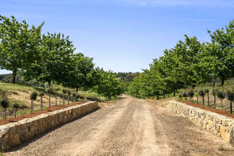 Fifth view of Homely rural property listing, 136-148 Ruffy Road, Ruffy VIC 3666