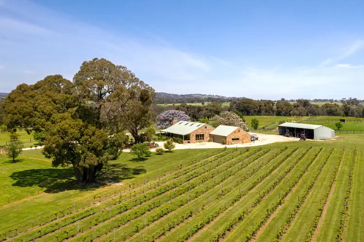 Seventh view of Homely rural property listing, 136-148 Ruffy Road, Ruffy VIC 3666