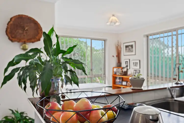 Fifth view of Homely house listing, 44 Lorraine Crescent, Centenary Heights QLD 4350