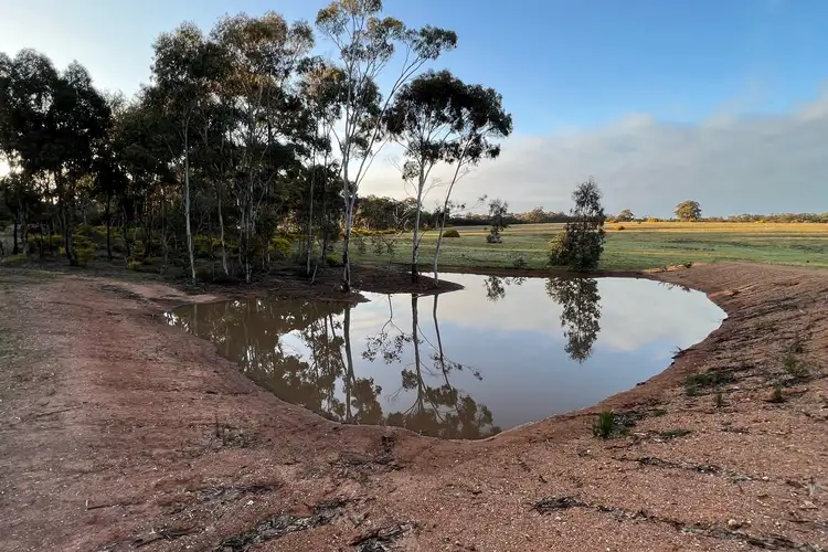 Main view of Homely rural property listing, LOT 8, 407 Logan-Wedderburn Road, Wedderburn VIC 3518