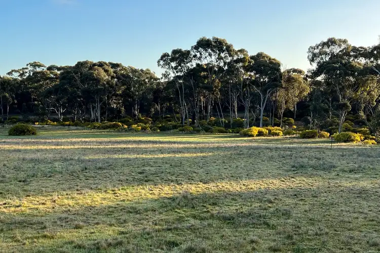 Second view of Homely rural property listing, LOT 8, 407 Logan-Wedderburn Road, Wedderburn VIC 3518