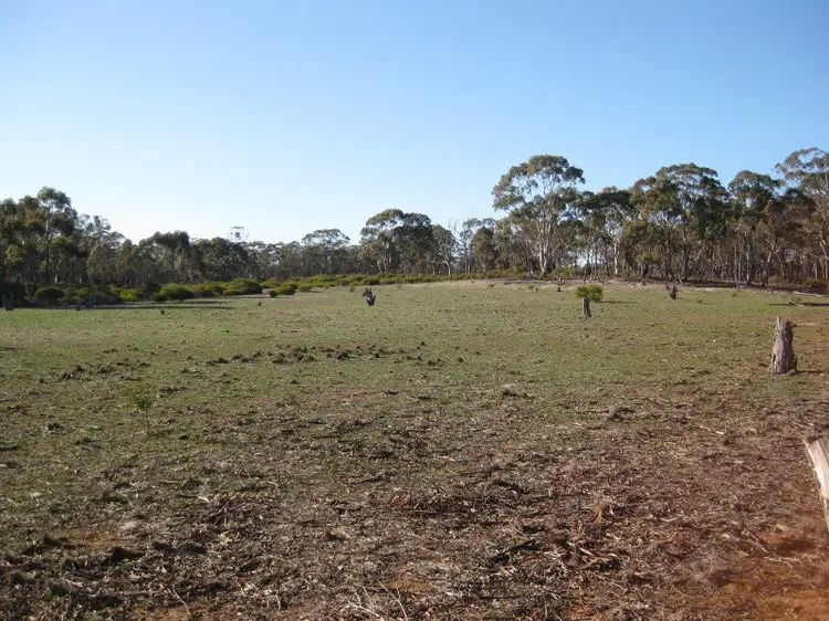 Fifth view of Homely rural property listing, LOT 8, 407 Logan-Wedderburn Road, Wedderburn VIC 3518