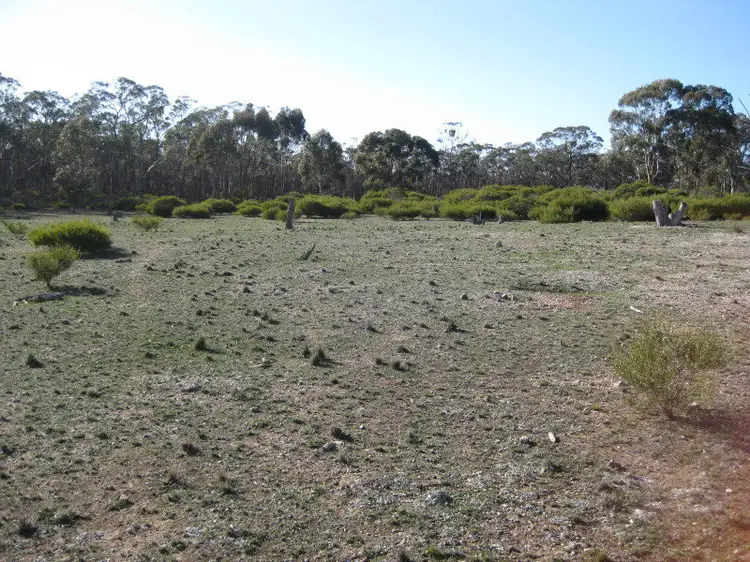 Sixth view of Homely rural property listing, LOT 8, 407 Logan-Wedderburn Road, Wedderburn VIC 3518